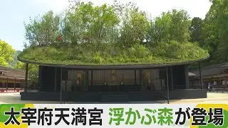 太宰府天満宮に浮かぶ森　仮殿が誕生　藤本壮介氏が設計