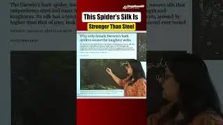Darwin&rsquo;s Bark Spider | Nature&rsquo;s Strongest Silk for Environment Prelims 2026 from The Hindu