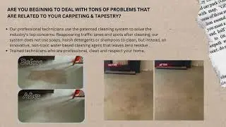Rug Cleaner In Atascocita