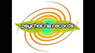 Petar & Shark @ C&ouml;kxpon Ambient Society (psychill dj set)