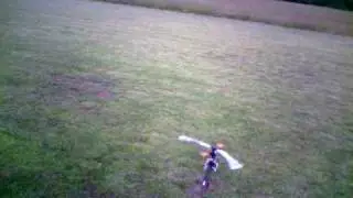 trex 450 pro 2point stall turn and touch n go