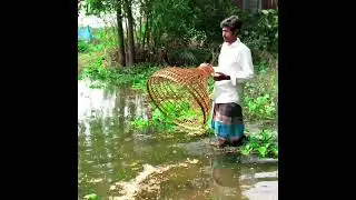 Amazing Best Traditional Polo By Catching Fish Alim vai #shorts