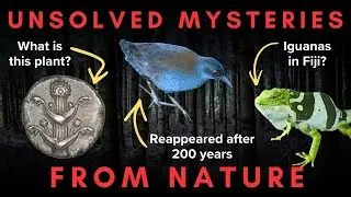 Five Unsolved Natural Mysteries