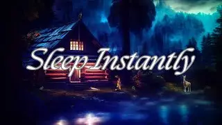 3 Hour Peaceful Night Forest with Hidden Animals | Deep Sleep & Relaxing Nature Sounds