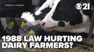 What influences the price of milk in Pennsylvania for consumers and farmers?