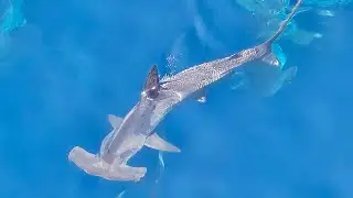 Clarity of thought - Atlantic bliss