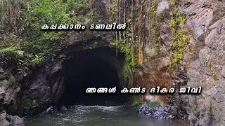 Vagamon Tunnel | Uluppuni Tunnel | കപ്പക്കാനം ടണലിൽ ഞങ്ങൾ കണ്ട ഭീകര ജീവി