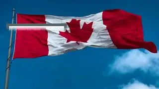 Top 10 Agricultural Exporting Countries in the World / The Leading Countries in Agriculture : Top 10