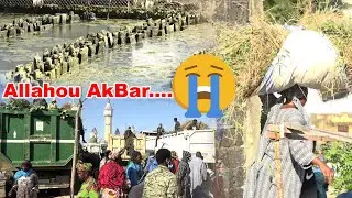 😭 Allahou AkBar  Mbayoum Arm&eacute;ri Touba YI Wakeur Cheikh Issa Di&eacute;nne lagane Vendredi 14 Novembre 2025