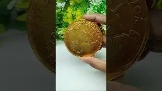$5 Gold Coin ASMR 🪙 | Satisfying Coin Crunch #chocolate #testy #shortvideo #vairal #trending