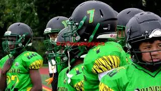 Petrides v  Springfield Gardens JV Football