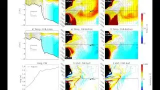 NRI 3D plume including surface waves