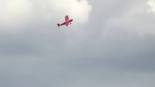 Cute Flyer at Towersey - de Havilland Puss Moth