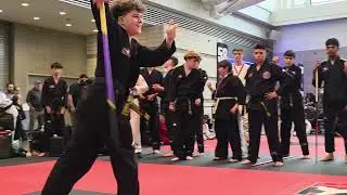 Невероятный национальный турнир по боевым искусствам #ATA #martialarts #tkd
