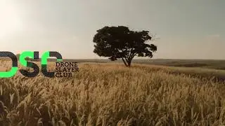 DSC - Drone Footage