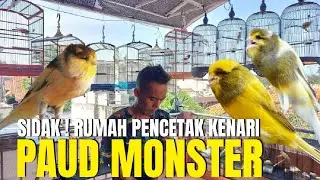 SIDAK ! PETERNAK BURUNG KENARI TERBESAR DI CINERE DEPOK JAWA BARAT ! ARUMI KINGKONG KENARI