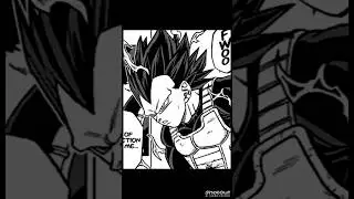 Vegeta ultra ego 