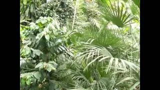 Nosy Ankarea By Men'zoo Cam&eacute;Lyon prod'