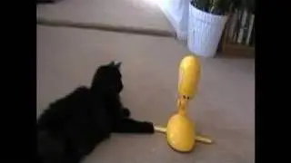 Six cats, one Panic Mouse