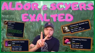 Make gold and switch between Aldor and Scryers in Classic TBC!