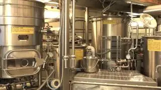 Brewing Process in a Nutshell