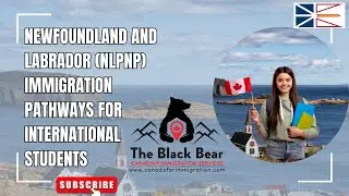 Newfoundland & Labrador PNP: Fast-Track Your Canada PR! 🇨🇦 | Study, Work & Settle in NL