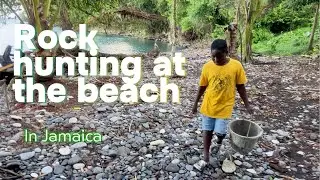 We Went Rock Hunting on a Jamaican Beach 🏖️