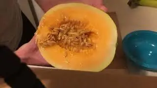 Sugar Kiss Melon Taste Test