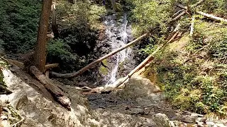Cataract Falls and The Fighting Creek Nature Trail