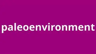 what is the meaning of paleoenvironment.