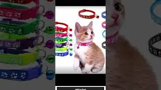 Adjustable Pet Collar With Bell Dog Collar Single Footprint Paw Print Collar Cat Buckle Collar Pet