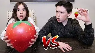 GIANT SQUISHY FOOD vs REAL FOOD!!