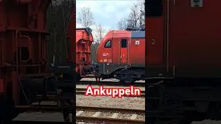 #dbcargo #br159 #eurodual #train #trainspotting #bahn #railway #railroad #elok #railfan #diesellok