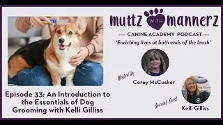 Episode 33: An Introduction to the Essentials of Dog Grooming with Kelli Gilliss