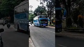 PMH 1386 #bus #busmania #alizasehar #automobile #subscribe #like #share