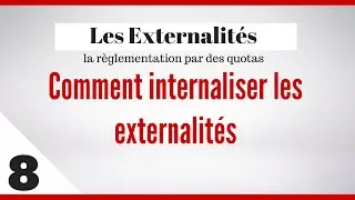 Comment internaliser les externalit&eacute;s : la r&egrave;glementation par des quotas | solution externalit&eacute;