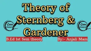 Theories of Intelligence: Sternberg & Gardner in Punjabi | ਬੁੱਧੀ ਦੇ ਸਿਧਾਂਤ | PSTET/CTET/B.Ed Special