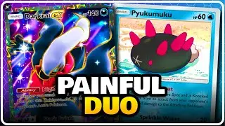This Pyukumuku + Darkrai Combo Actually Feels SICK