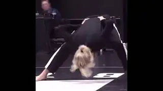 BTS JIMIN proving his flexibility