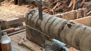 Sawmill Machine Cuts 2x20 Finished Coconut Trees Easily