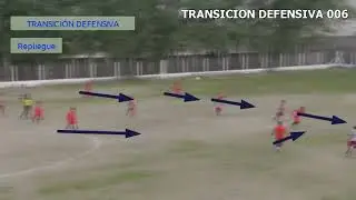 TP VIDEOANALISIS TRANS DEF Repliegue