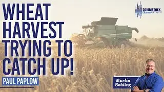 Wheat Harvest Trying To Catch Up! With Paul Paplow