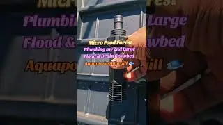 Micro Food Forest plumbing my 2nd Large Flood/Drain Growbed.