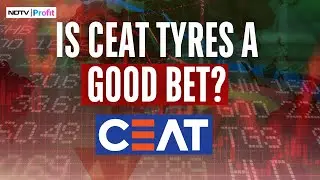 Why Experts Are Cautious About Ceat Tyres | NDTV Profit