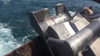 Oilwind Baiting System