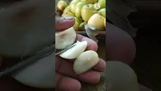 Ber Apple | Chinese Dates | Yelantha Pazham | Jujube