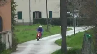 Prova WForce