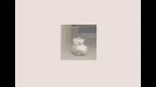 afraid - the neighbourhood sped up