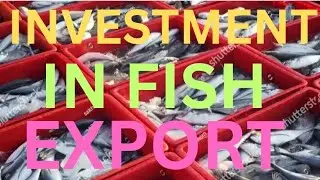 PROPERTY IN LOW COST / LONG LIFE CONSTRUCTION, INVESTMENT IN FISH EXPORT.