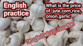 Bangladesh Market Update Nov 2025 &mdash; Jute, Maize, Onion, Garlic Price Today | English Practice 